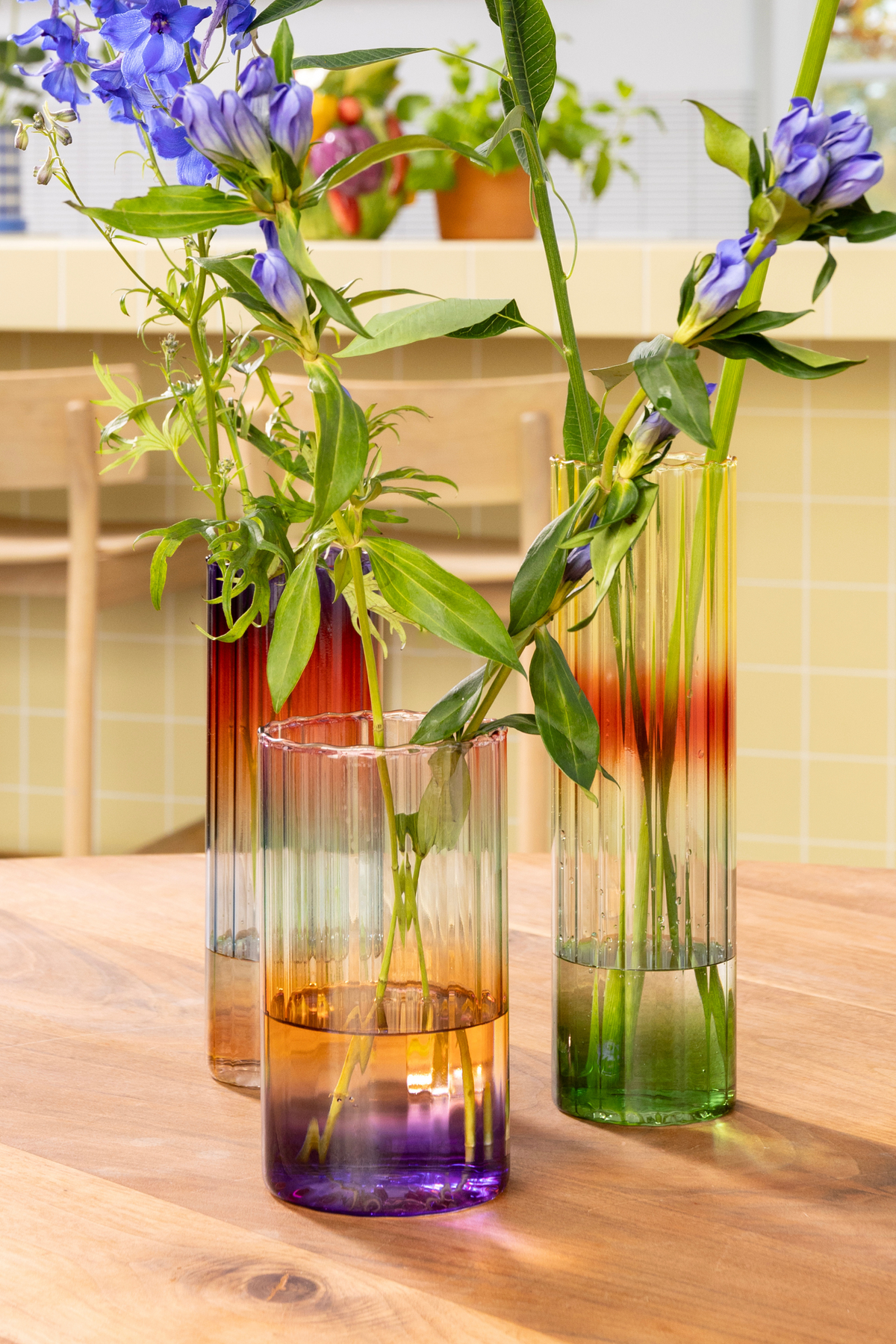 Vase Gradient Evening Wide