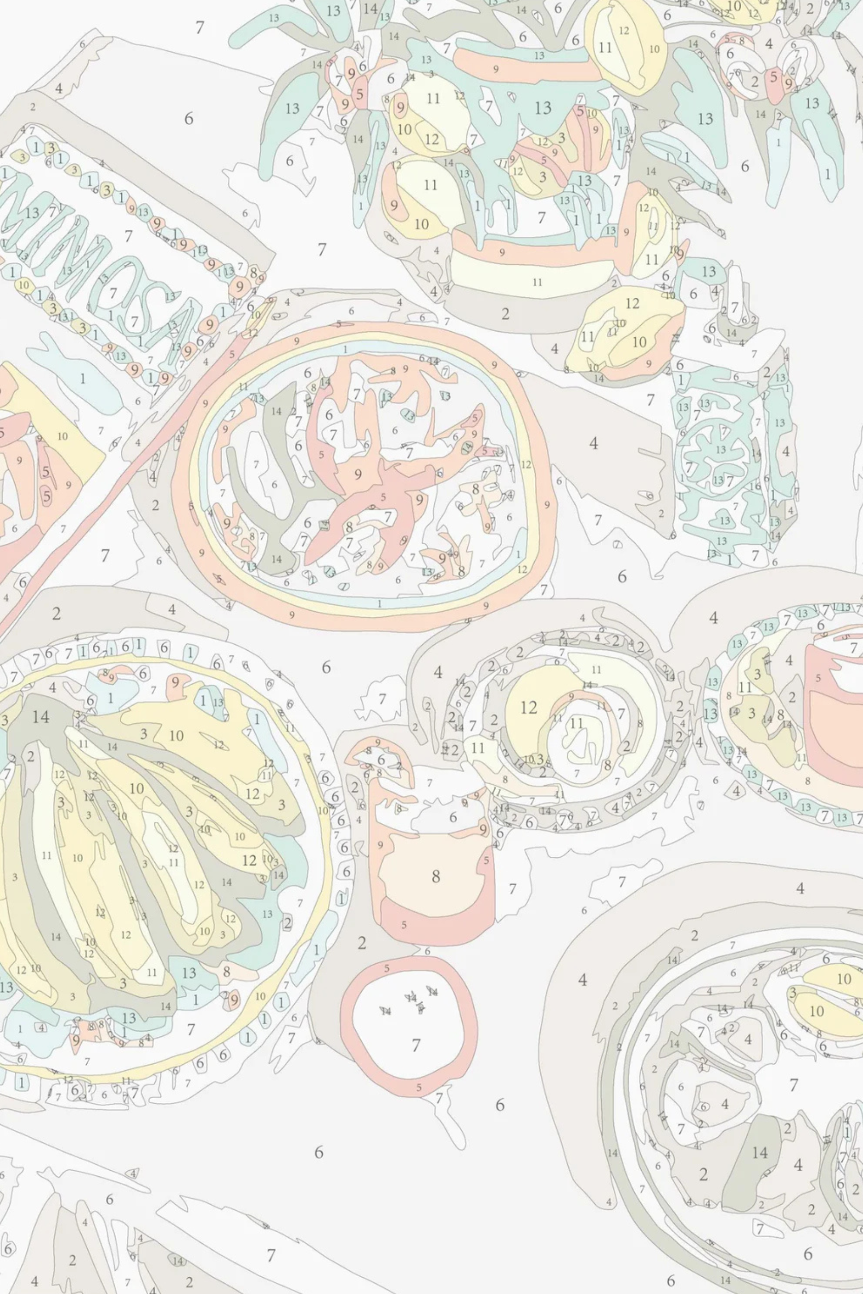 The One with The Prawns Mini Paint by Numbers Kit