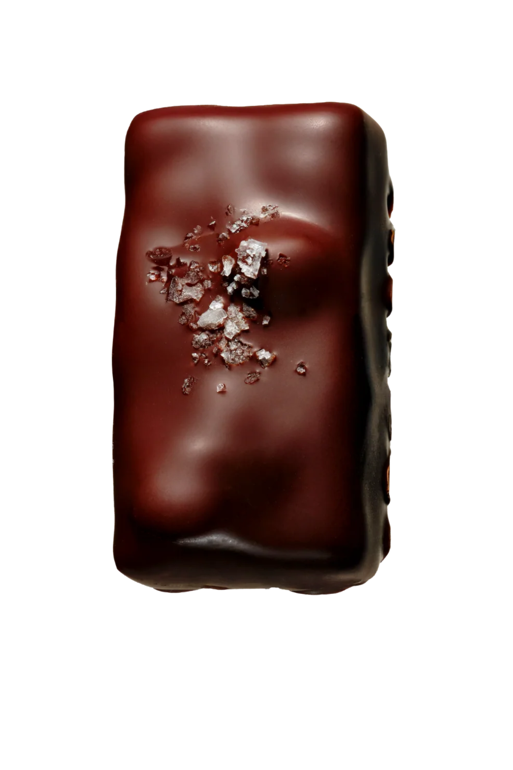 Macadamia Maple Twin