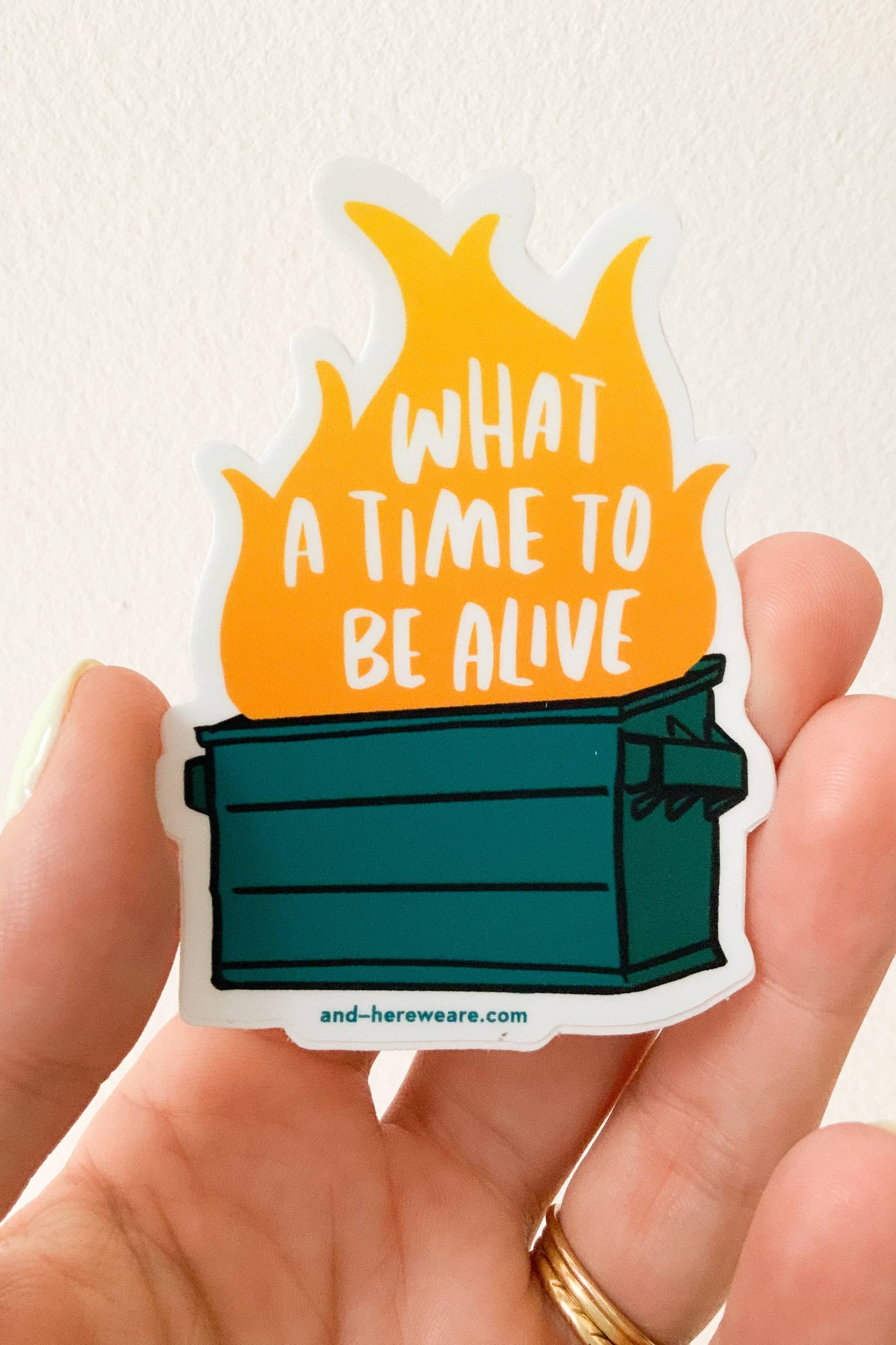 Dumpster Fire Vinyl Sticker