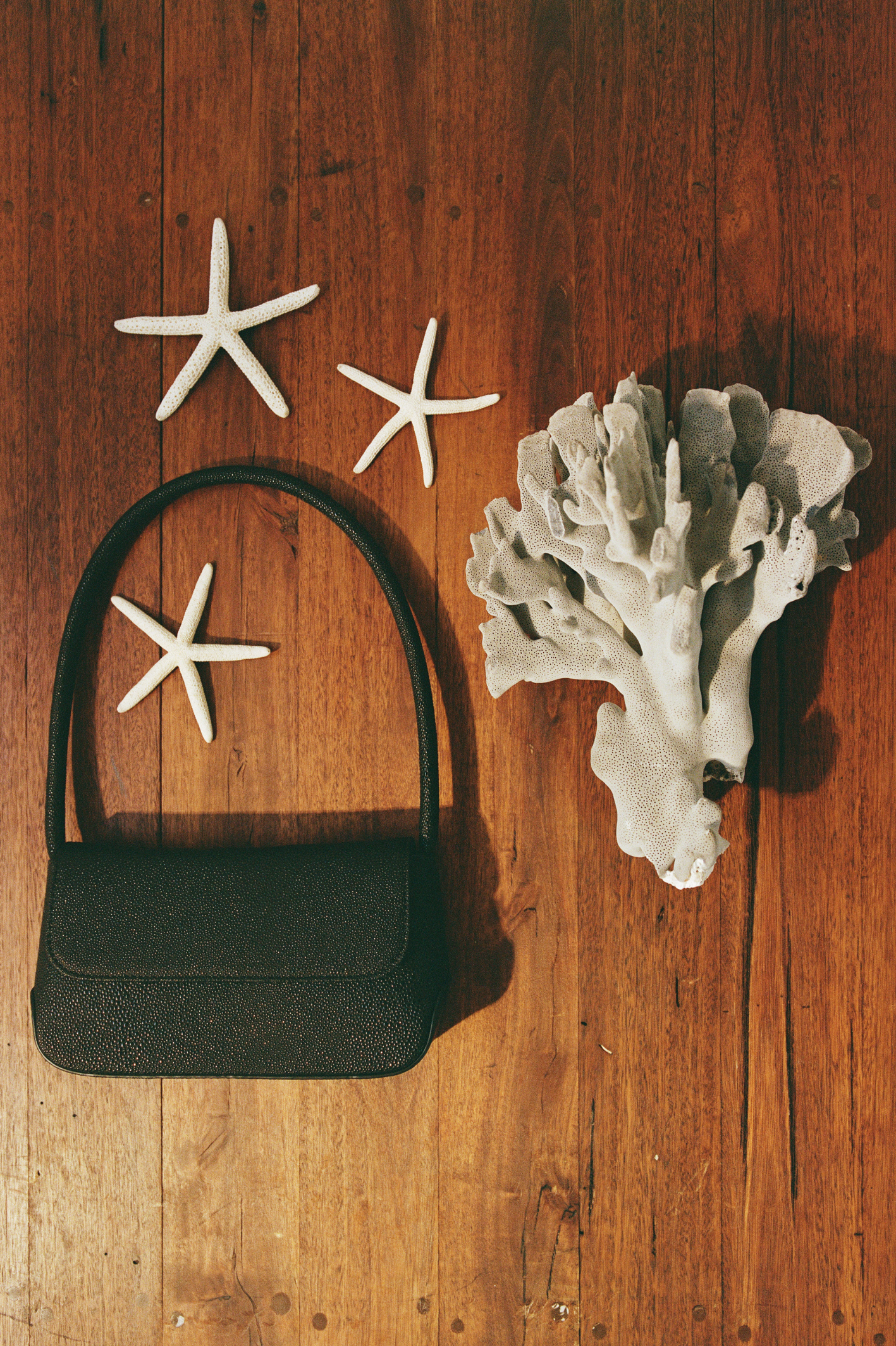 Mini Camille Bag Black Starfish