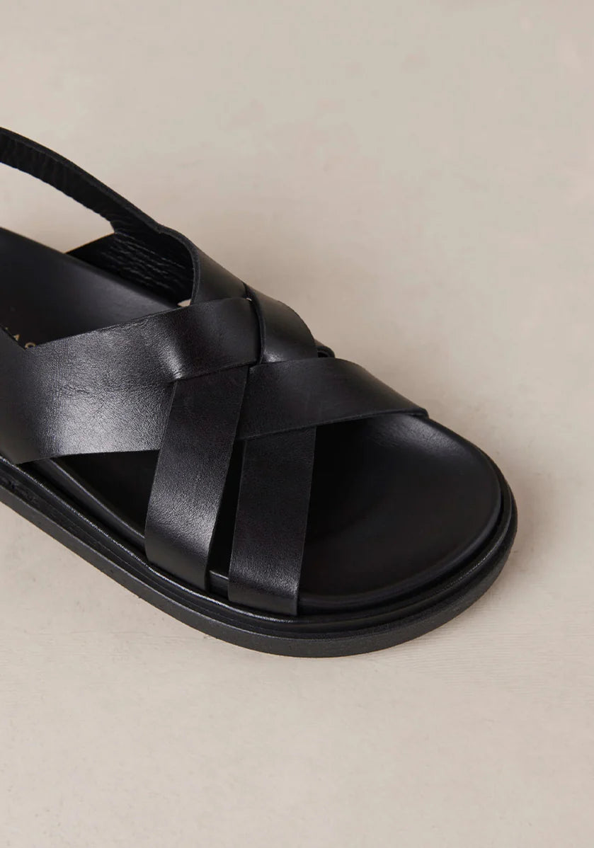 Trunca Padded Sandal Black