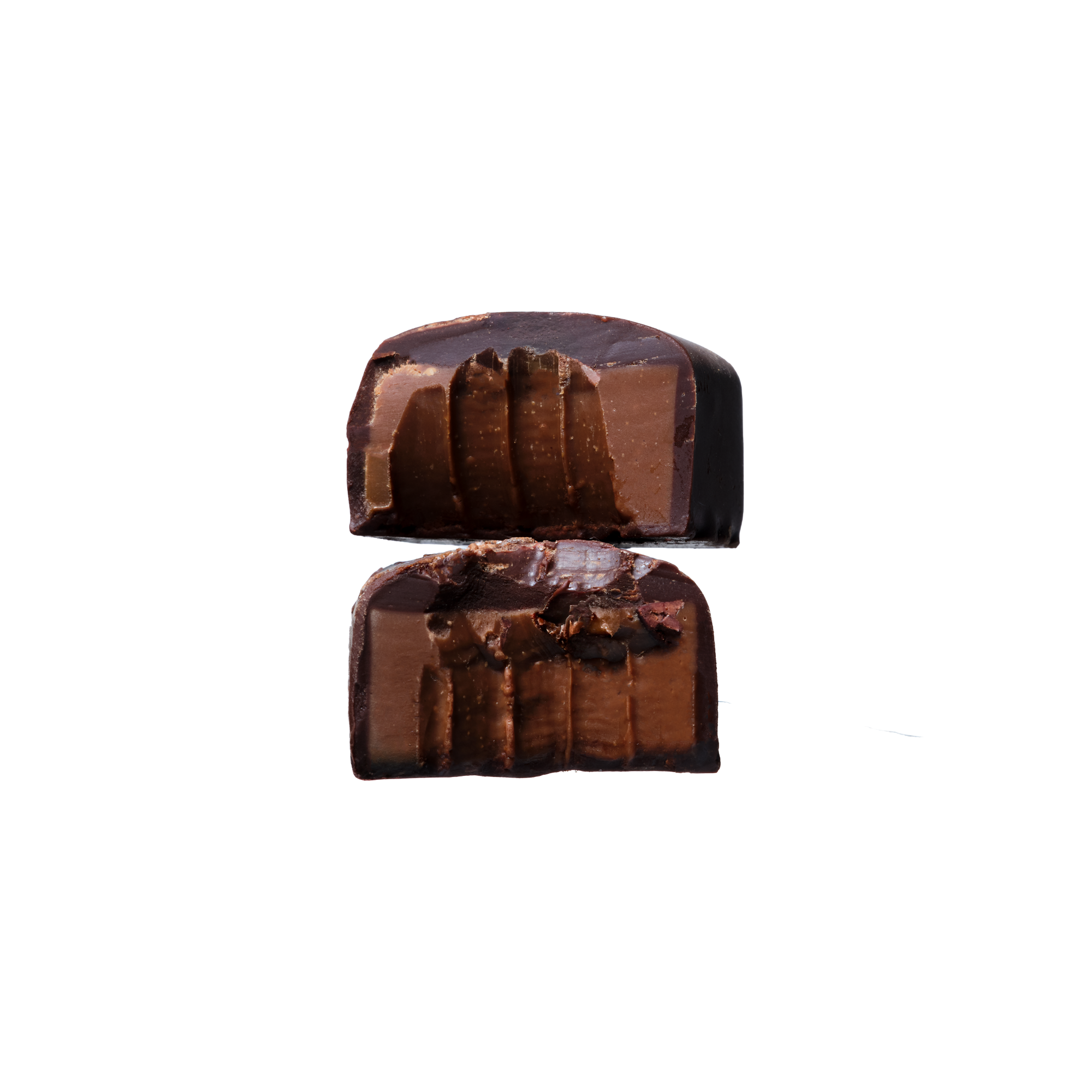 Double Chocolate Truffle Twin